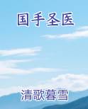 国手圣医