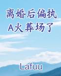 离婚后偏执A火葬场了
